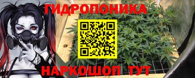 jwh Можга