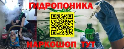 jwh Можга